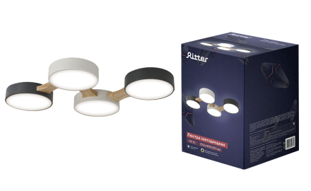 Потолочная люстра Ritter Scandia 52071 9