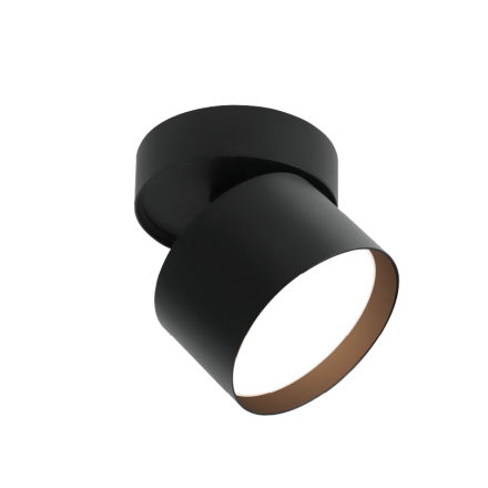 Спот Wolta Basic WSL-GX53/02BL