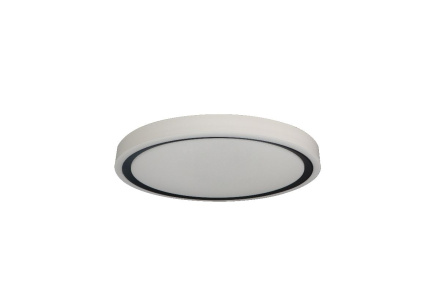 Потолочный светильник Zortes Bella ZRS.1201.04