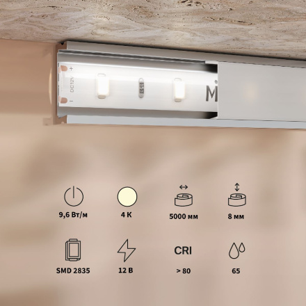 Светодиодная лента Maytoni Base 12В 2835 9,6Вт/м 4000K 5м IP65 201175