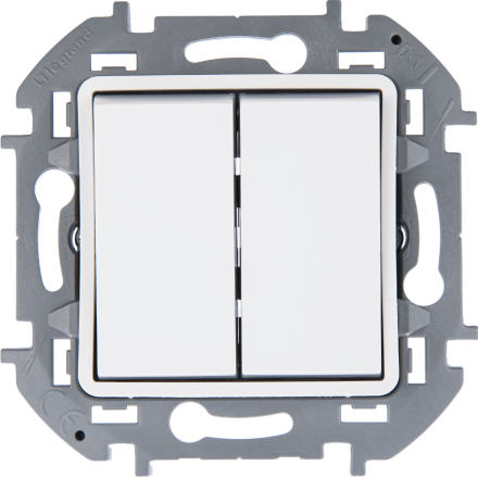 Переключатель двухклавишный Legrand Inspiria 673665