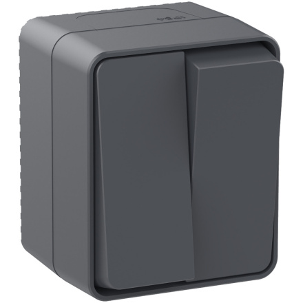 Выключатель 2-клавишный Systeme Electric AtlasDesign Profi54 Наруж Антрацит ATN544051