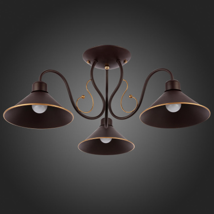 Потолочный светильник EVOLUCE CIOLLA SLE120402-03