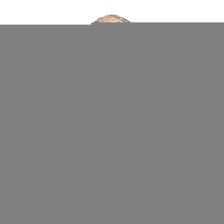 Настольная лампа Ritter Chippy 52709 1