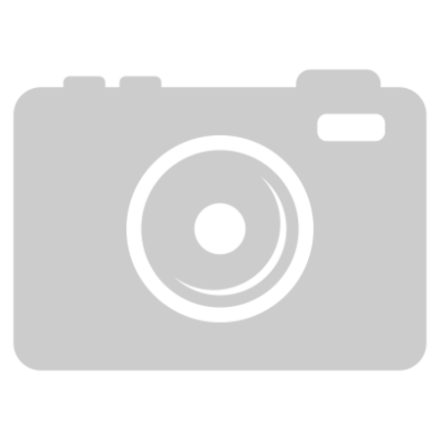 Потолочный светильник Sonex Fass wood 7674/DL