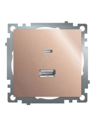 Розетка 2-местная USB + type C Stekker Катрин GLS10-7116-02 50056