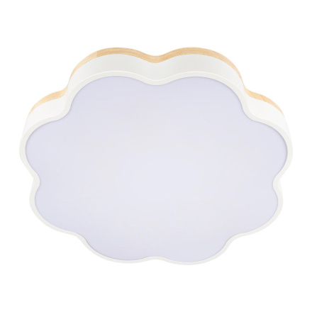 Потолочный светильник Loft IT Axel 10225/36 White