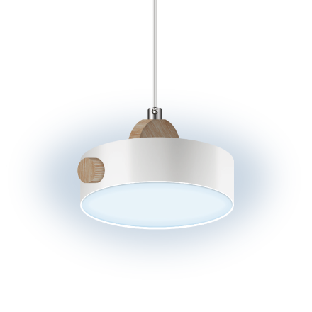 Подвесной светильник Ritter Scandia 52077 1