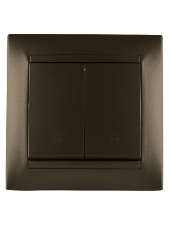 Выключатель двухклавишный на 2 направления Лама TDM Electric SQ1815-0707