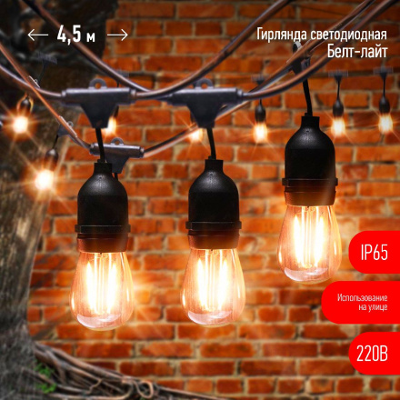 Гирлянда светодиодная Эра ERABL-FIL1 Б0056017