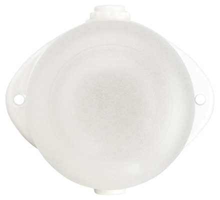 Настенно-потолочный светильник Эра НББ 02-60-001 Б0064005