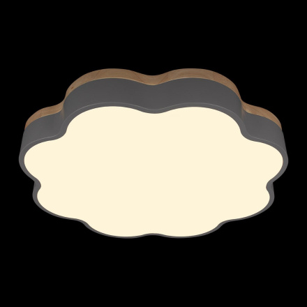 Потолочный светильник Loft IT Axel 10225/36 Grey