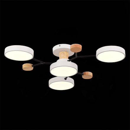 Люстра на штанге Evoluce Faema SLE6006-502-04