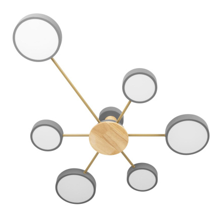 Потолочная люстра Loft IT Sunrise 10316/6 Grey