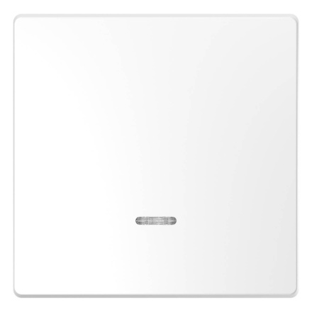 Клавиша одинарная Schneider Electric Merten D-Life MTN3320-6035