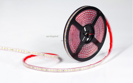 Светодиодная лента Arlight RTW 2-5000PGS 24V White 2x (3528, 600 LED, LUX) 013520