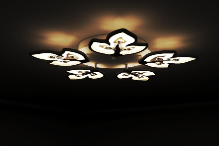 Потолочная люстра Ritter Albero 52095 9