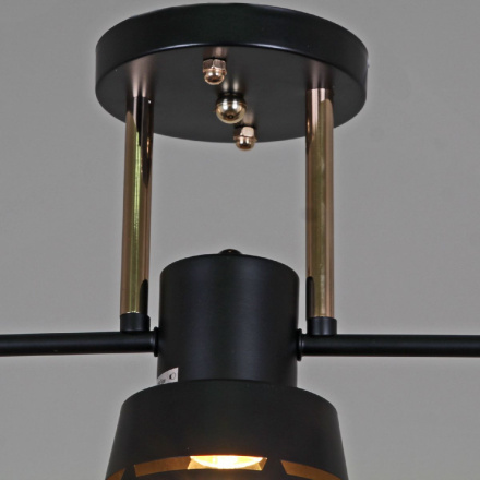 Потолочная люстра Reluce 06074-3.3-03 BK+FG