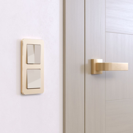 Рамка на 2 поста Werkel Platinum шампань 4690389184468 W0022611