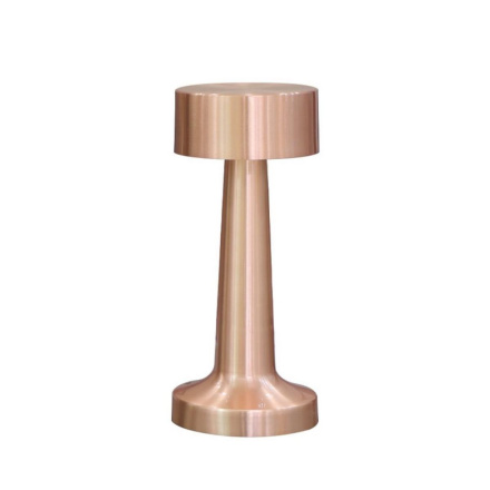 Настольная лампа Aployt Perrayn APL.671.04.01