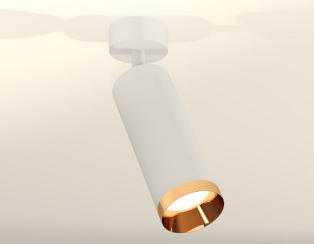 Накладной поворотный светильник Ambrella Light Techno XM6342005 (A2202, C6342, N6134)