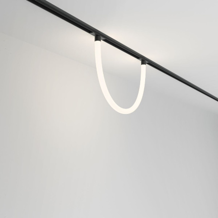 Трековый подвесной светильник Maytoni Tau TR101-2-20W4K-B