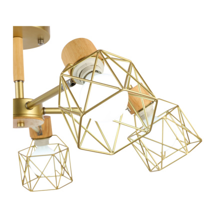 Потолочный светильник EVOLUCE STELITTO SLE110402-05