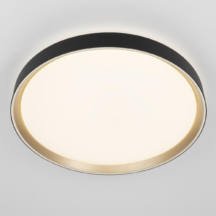 Потолочный светильник Citilux Boss CL751451G