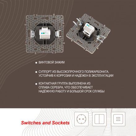 Розетка телефонная RJ11 Arte Milano 217.51-1.shampan