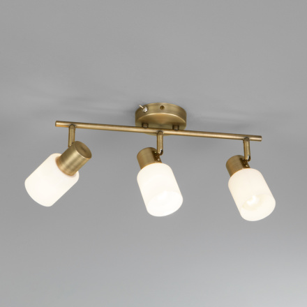 Настенный светильник Eurosvet Corso 20089/3 бронза