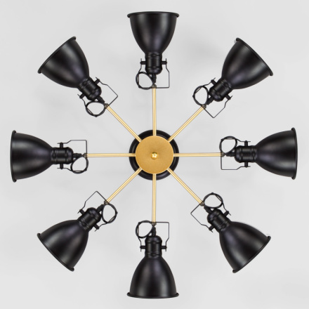 Люстра на штанге Eurosvet 70112/8 черный