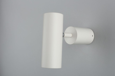 Настенно-потолочный светильник Aployt Berenis APL.007.02.01