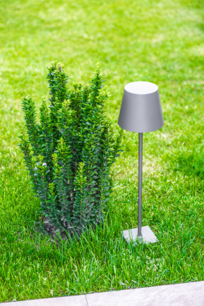 Ландшафтный светильник DesignLed FL-1793-650-7-GR-WW 007616