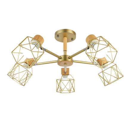 Потолочный светильник EVOLUCE STELITTO SLE110402-05