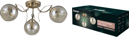 Потолочная люстра Ritter Catania 52541 7