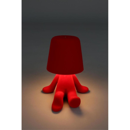 Настольная лампа Aployt Olka APL.677.24.01