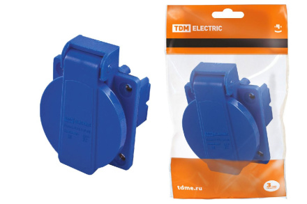 Розетка панельная РП10-3 скрытая с крышкой TDM Electric SQ0606-0001