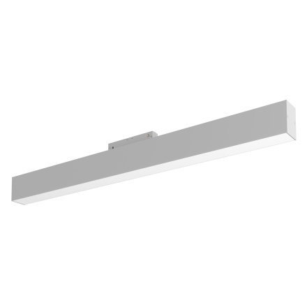 Трековый светильник Maytoni BASIS TR012-2-20W3K-W