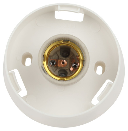 Настенно-потолочный светильник Эра НБП 01-60-004 Б0052011