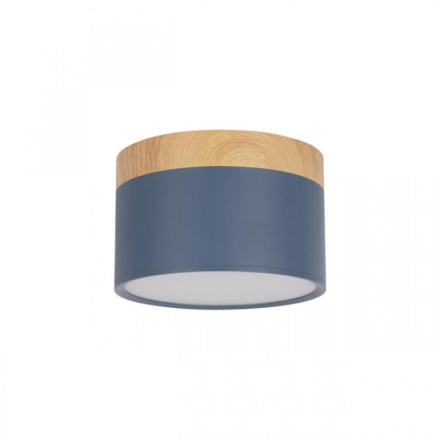 Накладной светильник Loft IT Grape 10162 Blue