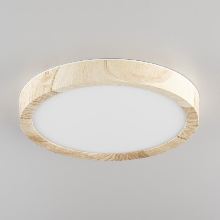 Потолочный светильник Citilux Бейсик CL738122N