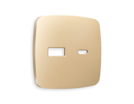 Лицевая панель для розетки 2USB тип A+C Ambrella Volt Omega OP6110