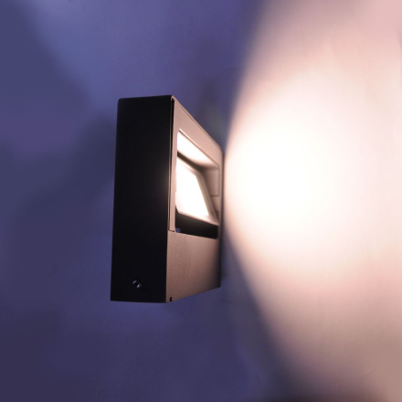 Уличный настенный светильник Elvan PJ-1503/1-11W-WW-Gr