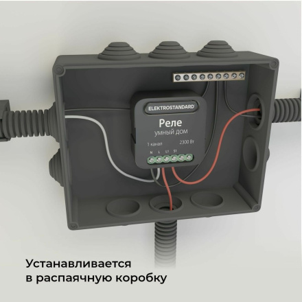 Умное одноканальное реле Elektrostandard 4690389185069 a059324
