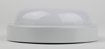 Настенно-потолочный светильник Эра SPB-201-0-65K-015 Б0047624