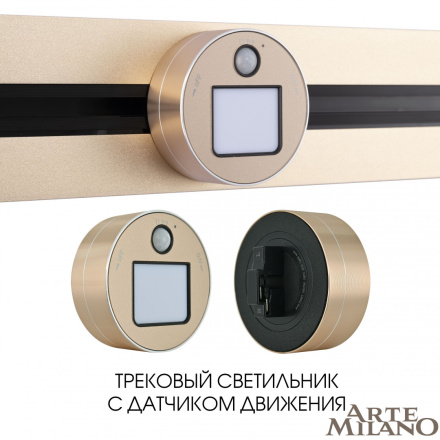 Трековая подсветка Arte Milano Am-track-sockets 380011TLS/LWS Gold