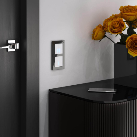 Сенсорный выключатель одноклавишный с подсветкой Werkel 4690389179525 W4510006