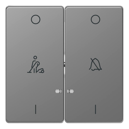 Клавиша двойная Schneider Electric Merten D-Life MTN3429-6036