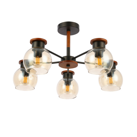 Потолочный светильник EVOLUCE RASCO SLE108102-05