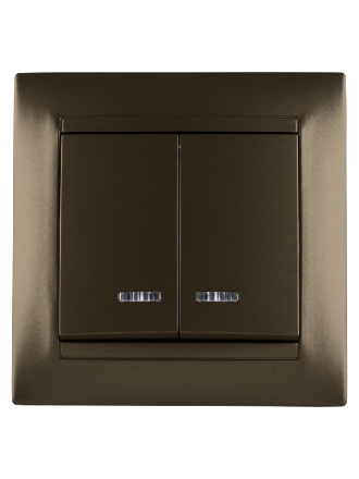 Выключатель двухклавишный с подсветкой Лама TDM Electric SQ1815-0705